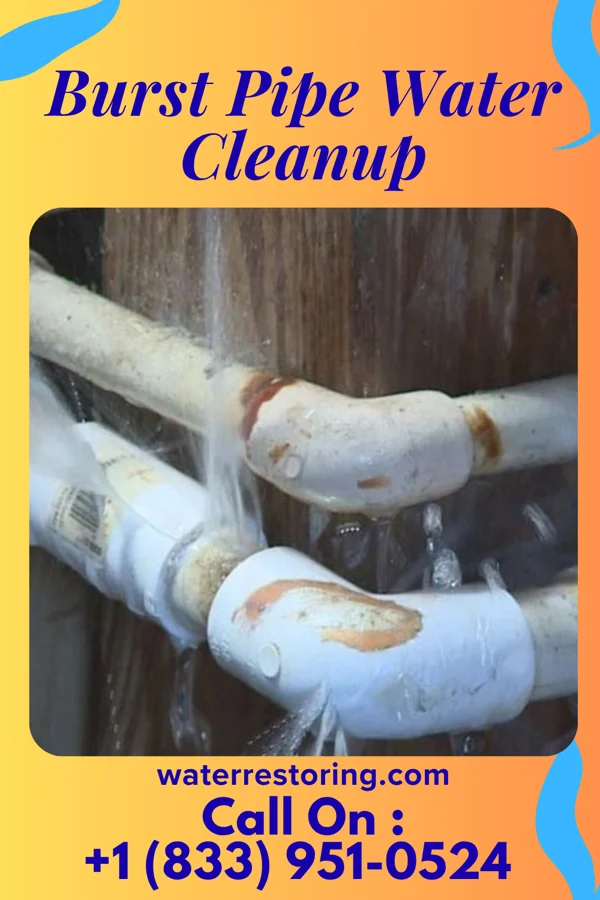Burst Pipe Water Cleanup in Grygla, MN